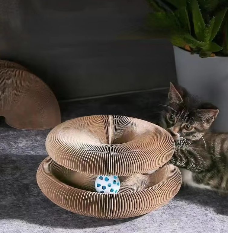 CATSHAPE - MUDA DE FORMA, MUDA O JOGO!