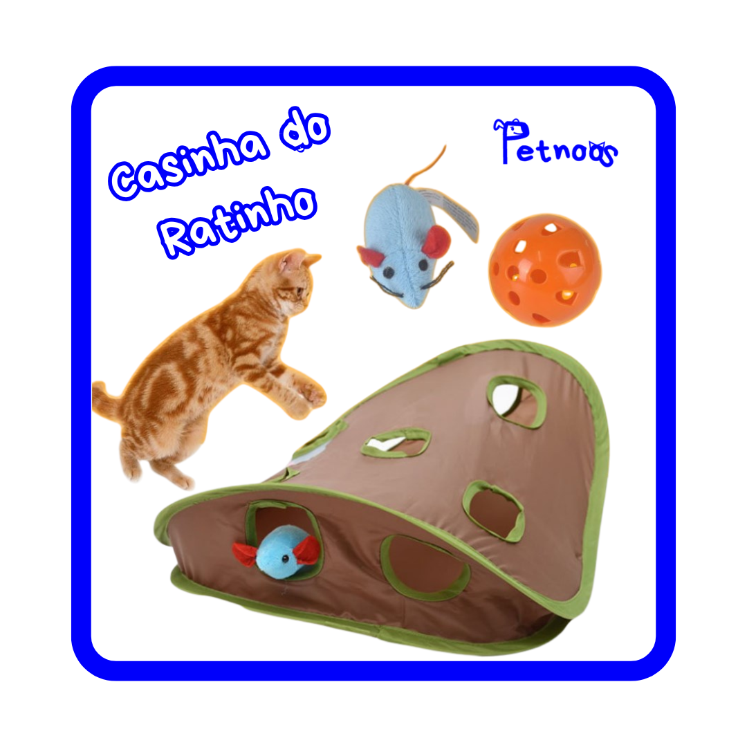 CASINHA DO RATINHO - A VISITA DE GATOS CURIOSOS!