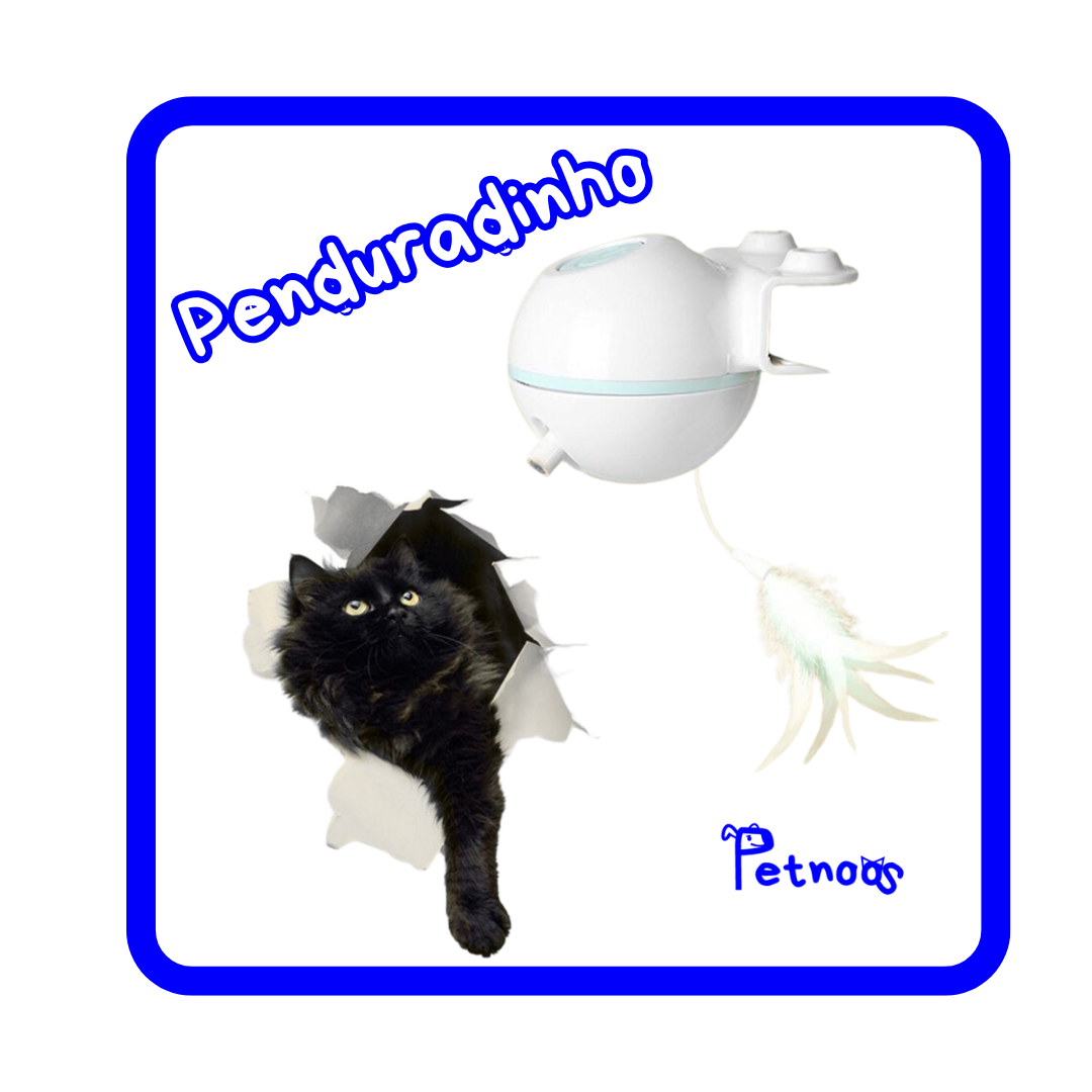 PENDURADINHO - O EXERCÍCIO DE FORÇA E RELEXO DO GATINHO!