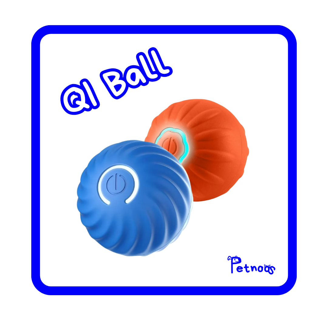 QI BALL - A BOLINHA MAIS INTELIGENTE DO SEU PET!