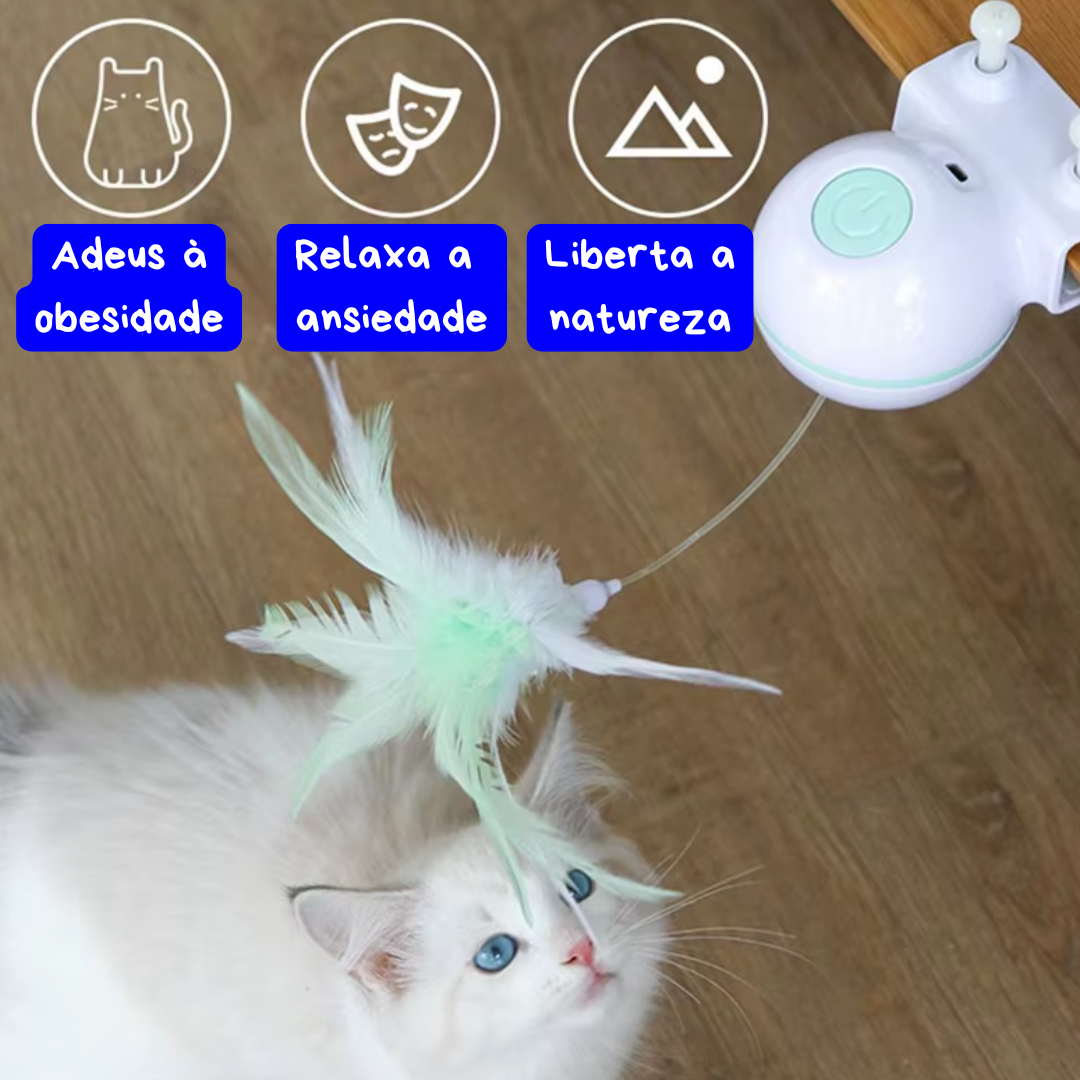 PENDURADINHO - O EXERCÍCIO DE FORÇA E RELEXO DO GATINHO!