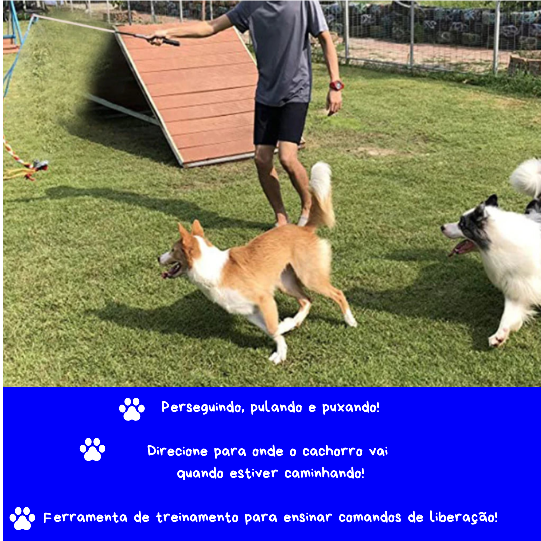DOGTWIST - A MELHOR CORDA DE TREINAMENTO PET!