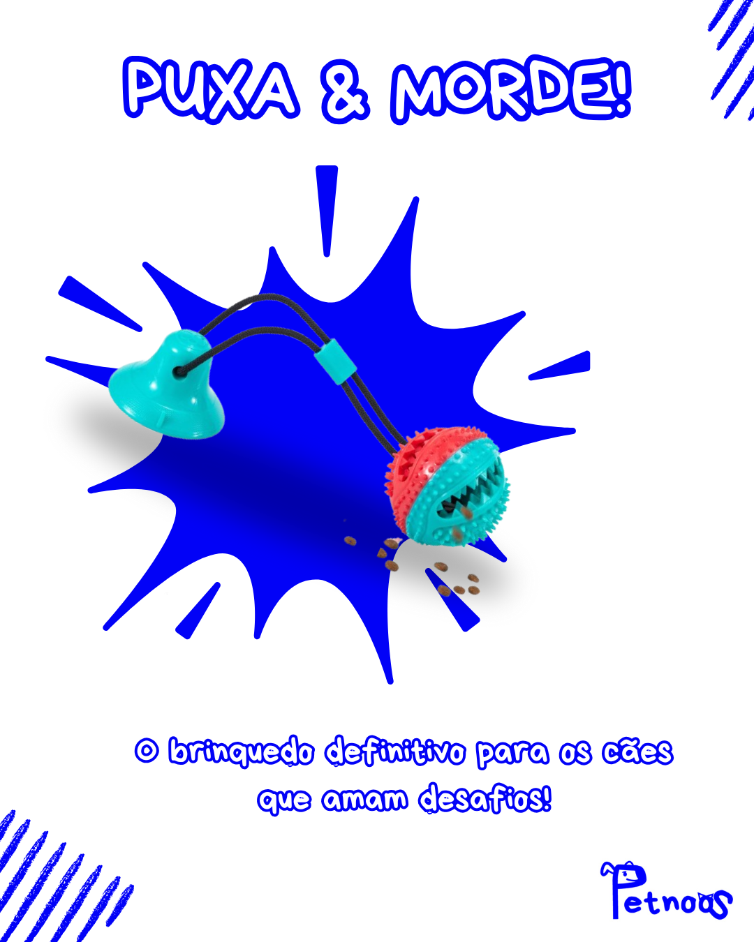 PUXA & MORDE - A MELHOR ACADEMIA PRO SEU CACHORRO!