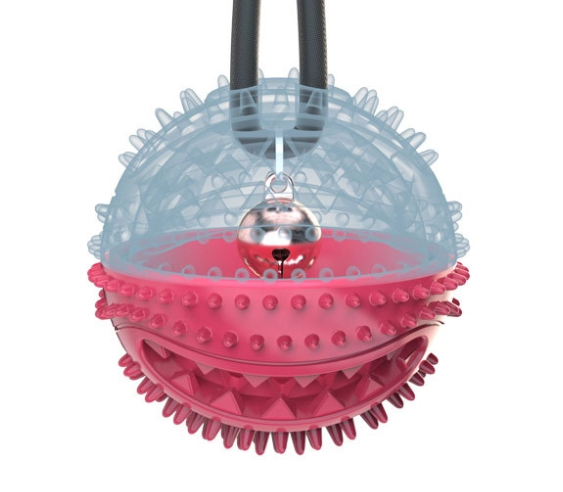 PUXA & MORDE - A MELHOR ACADEMIA PRO SEU CACHORRO!