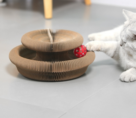 CATSHAPE - MUDA DE FORMA, MUDA O JOGO!