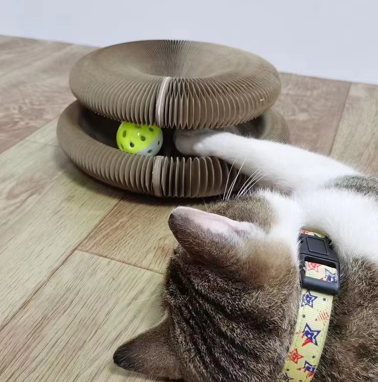 CATSHAPE - MUDA DE FORMA, MUDA O JOGO!