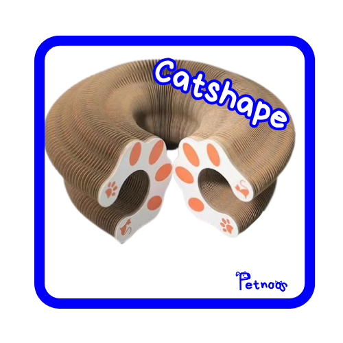 CATSHAPE - MUDA DE FORMA, MUDA O JOGO!