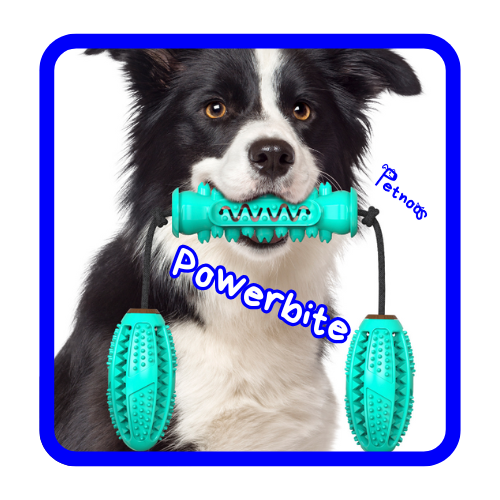 POWERBITE - O MELHOR ESTIMULADOR DENTAL!