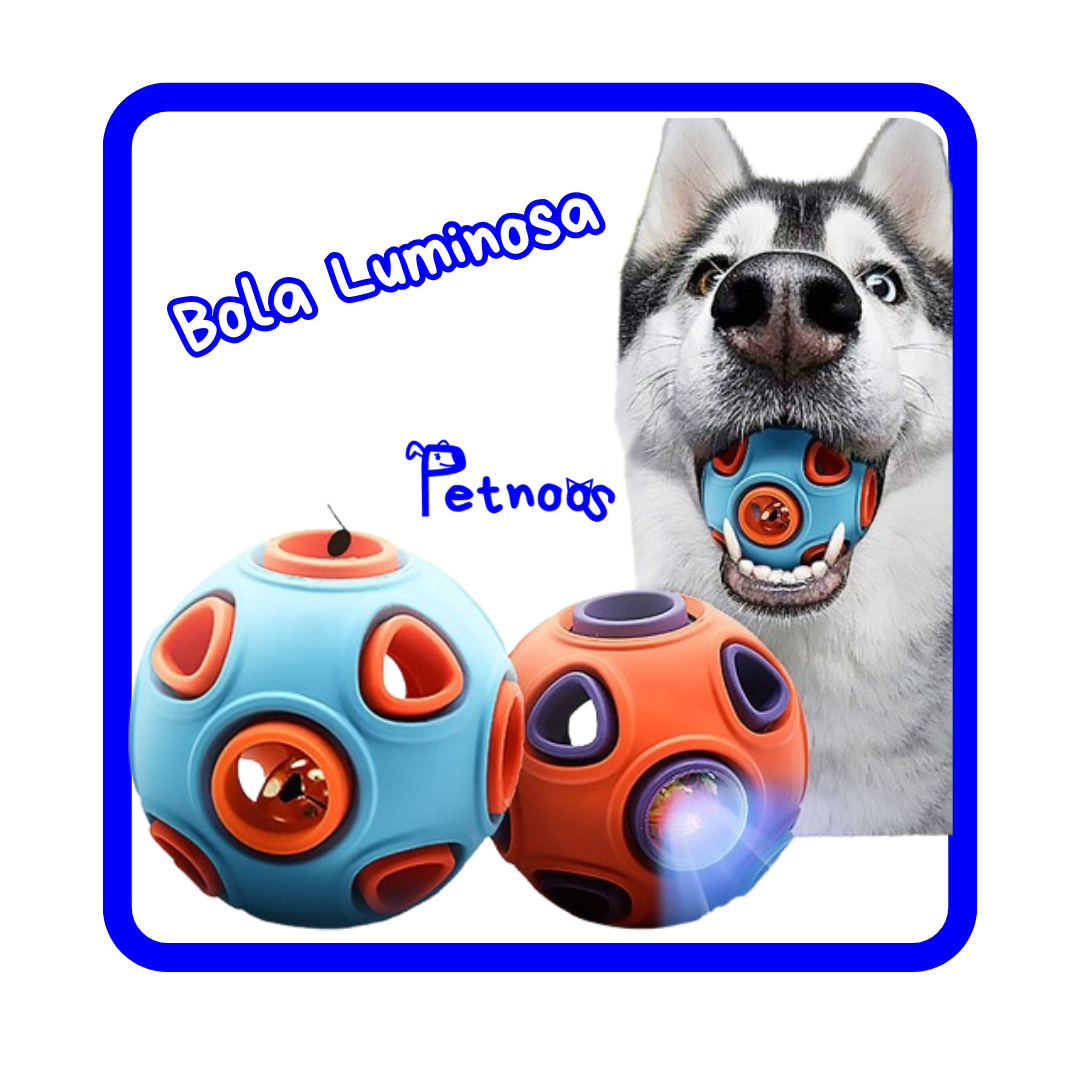 BOLA LUMINOSA - BRILHA E ENCANTA SEU CÃO!