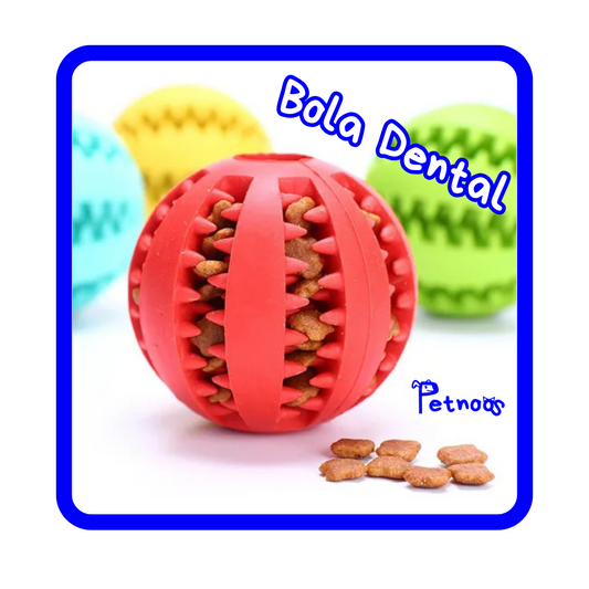 BOLA DENTAL - SAÚDE EM UMA MORDIDA SÓ!