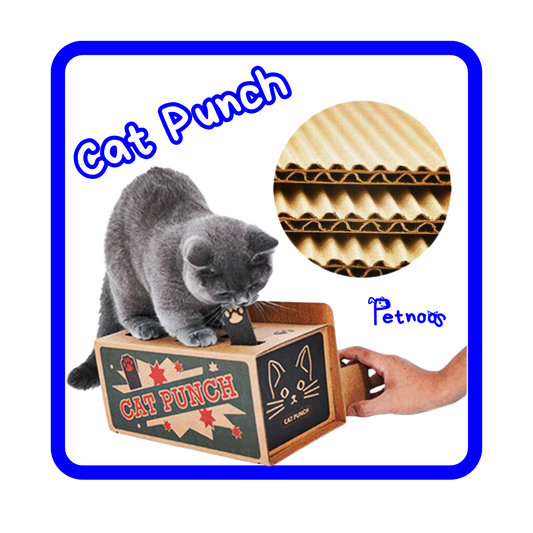 CAT PUNCH - CAIXA DE ESTÍMULO E AGILIDADE FELINA!