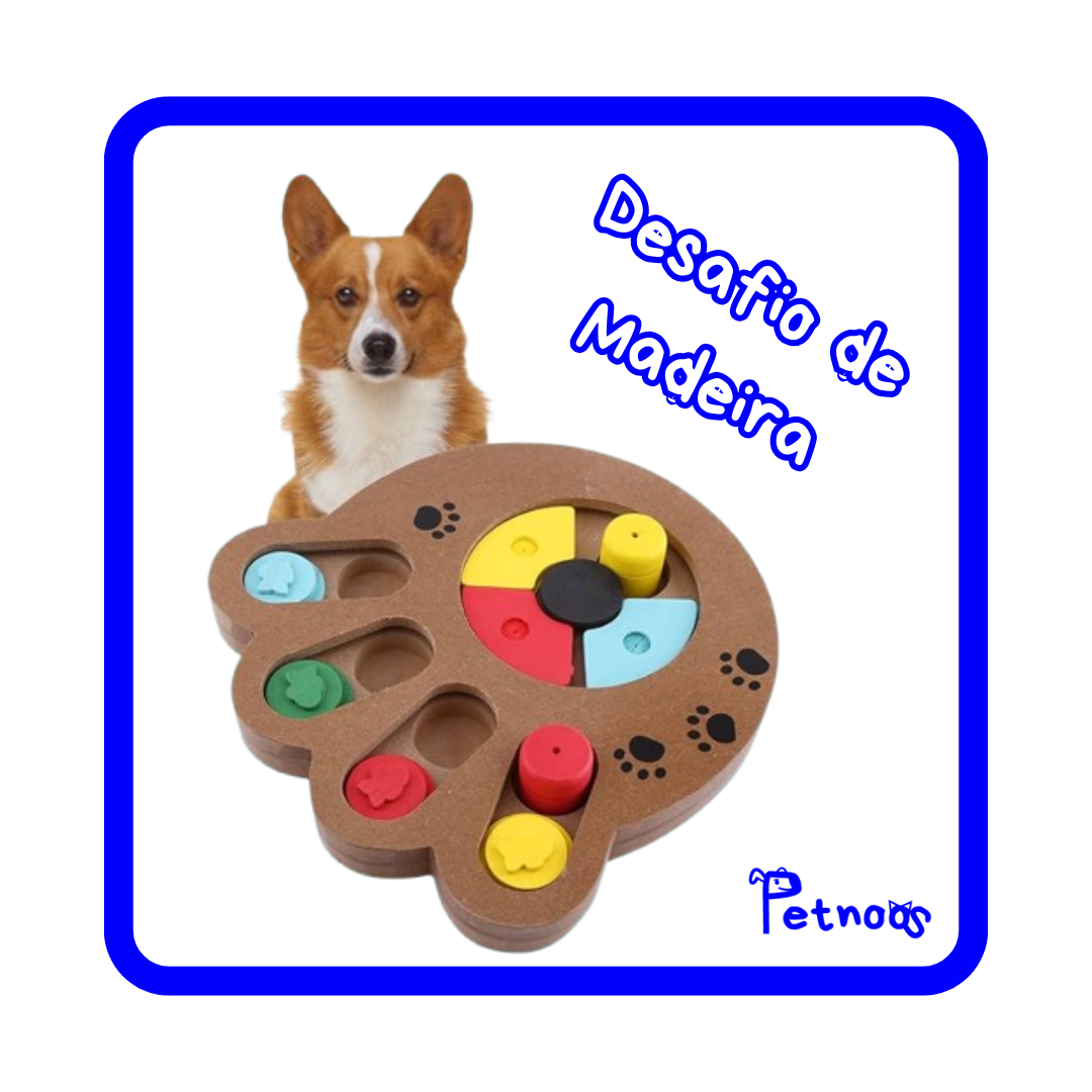 DESAFIO DE MADEIRA - O BRINQUEDO QUE TESTA E PREMIA SEU PET!