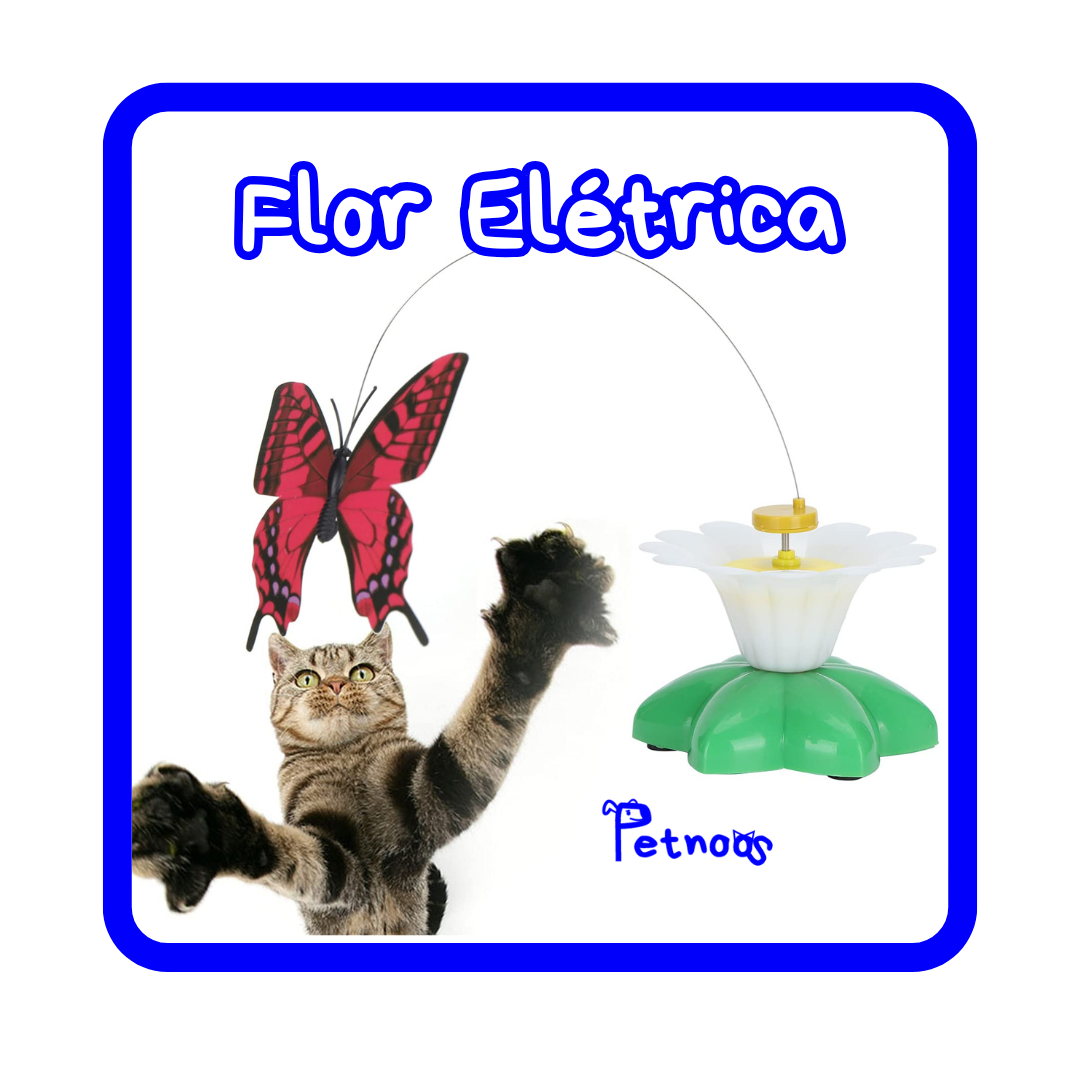 FLOR ELÉTRICA - BICHINHOS QUE DIVERTEM SEU GATO!