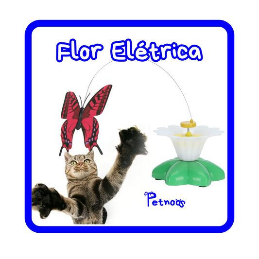 FLOR ELÉTRICA - BICHINHOS QUE DIVERTEM SEU GATO!