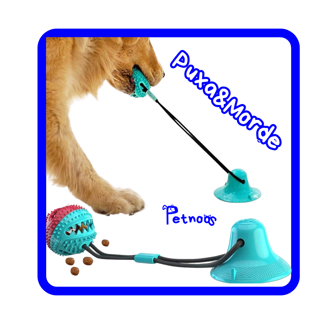 PUXA & MORDE - A MELHOR ACADEMIA PRO SEU CACHORRO!