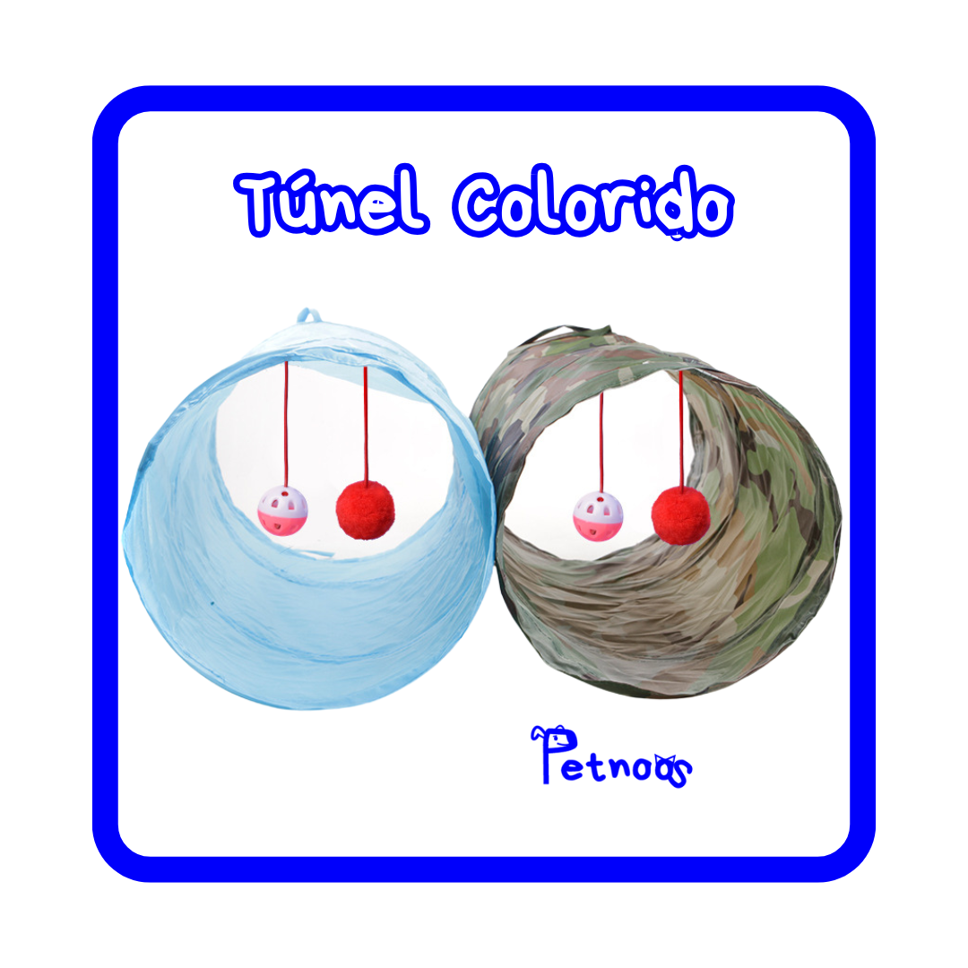 TÚNEL COLORIDO - TRAJETO DE AVENTURAS PARA O GATO!