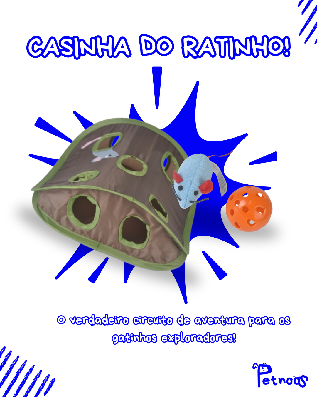 CASINHA DO RATINHO - A VISITA DE GATOS CURIOSOS!